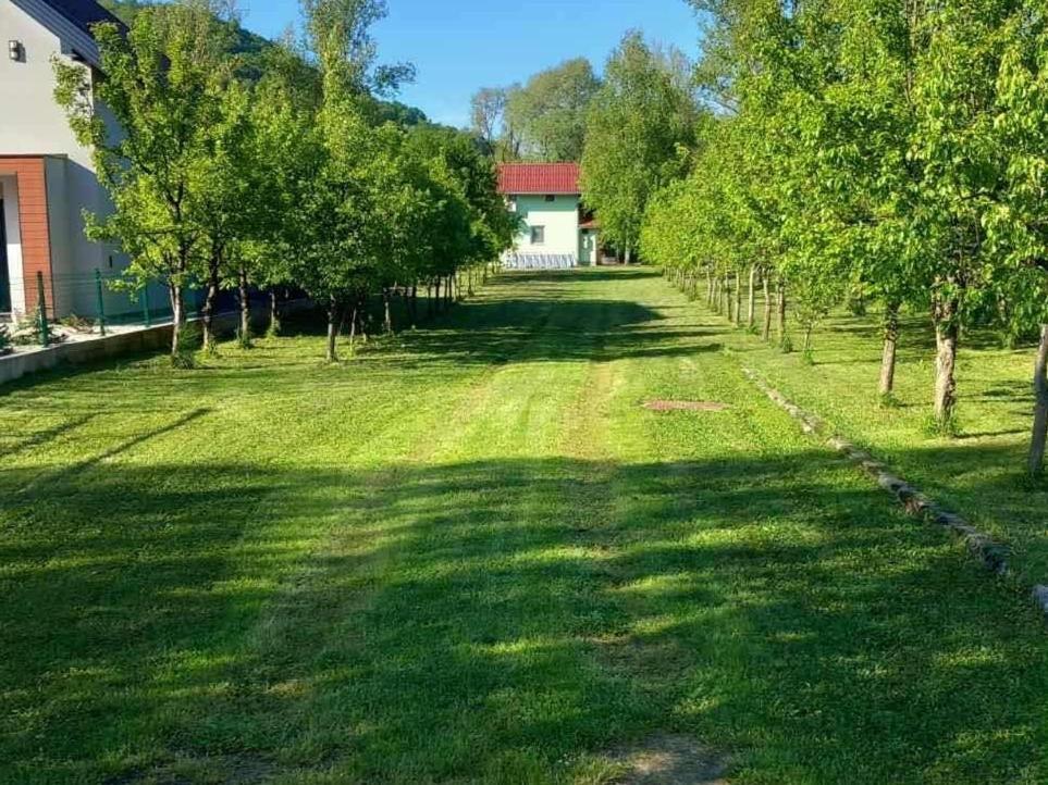Villa Kuca Delic Racic Exterior foto
