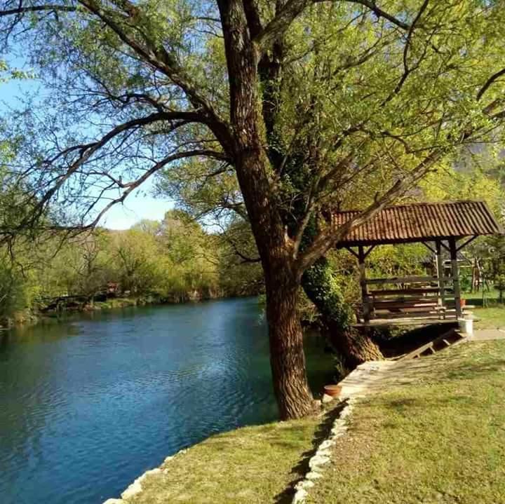 Villa Kuca Delic Racic Exterior foto